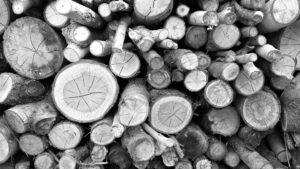 Shows different sized wood cut and stacked neatly ready for use