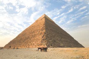 Giza pyramid with group of horses in centre foreground